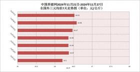 2024年12月2日 第5页